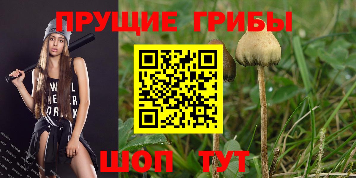 цены наркотик  Галлюциногенные грибы MAGIC MUSHROOMS  Вход с VPN  Славянск-на-Кубани 